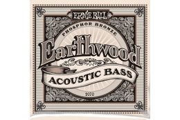 Ernie Ball 2070 Earthwood Acoustic Bass