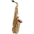 Roy Benson AS-202G Alt saxofón