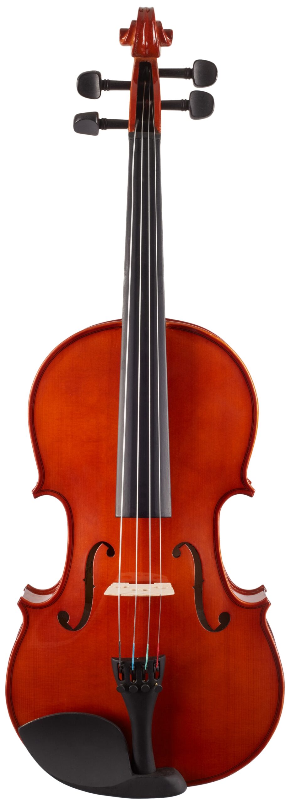 Viola